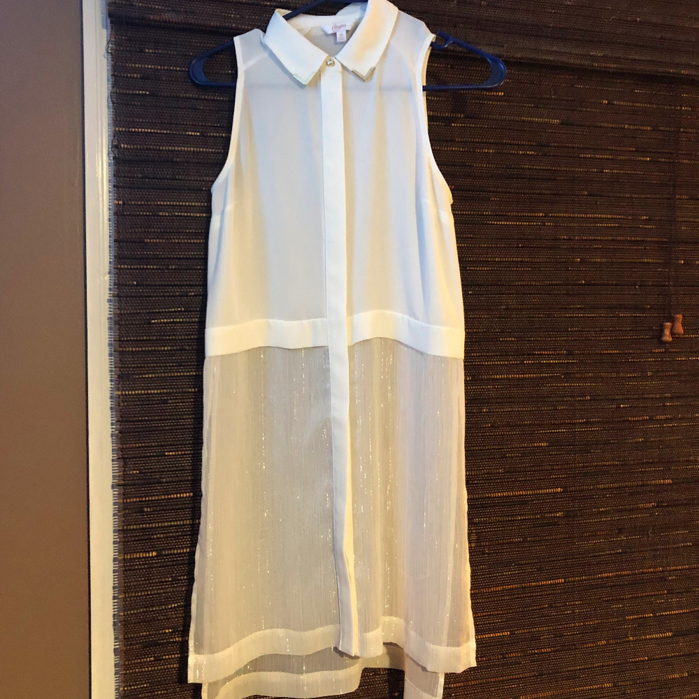 (NWOT) Long, Sheer Waist Blouse